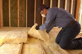 Eco-Friendly or Green Insulation Solutions in Perezville, TX