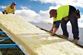 Types of Insulation We Offer in Perezville, TX