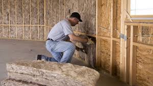 Best Insulation for Existing Homes  in Perezville, TX