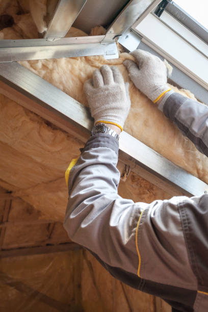 Best Blown-In Insulation  in Perezville, TX