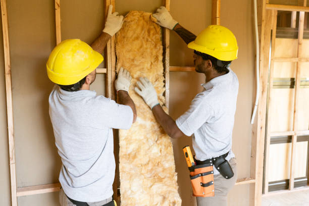 Best Soundproof Insulation  in Perezville, TX