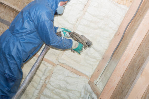 Best Crawl Space Insulation  in Perezville, TX